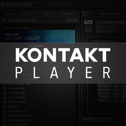 Logo di Native Instruments Kontakt