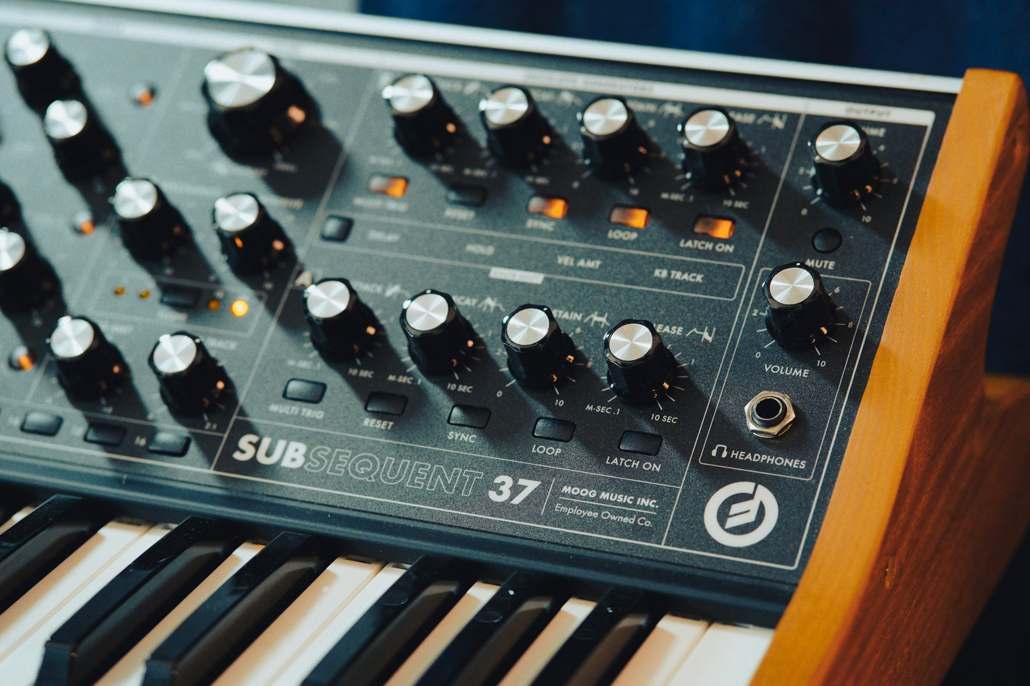 Moog Subsequent 37 Synth | Synthcloud Libraries